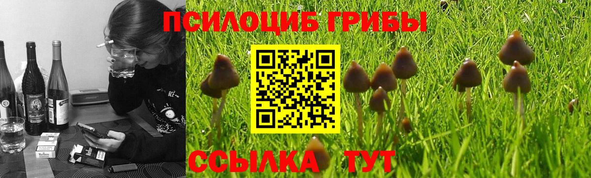 Псилоцибиновые грибы мухоморы  Галлюциногенные грибы мицелий  Новоалтайск  Вход с VPN 